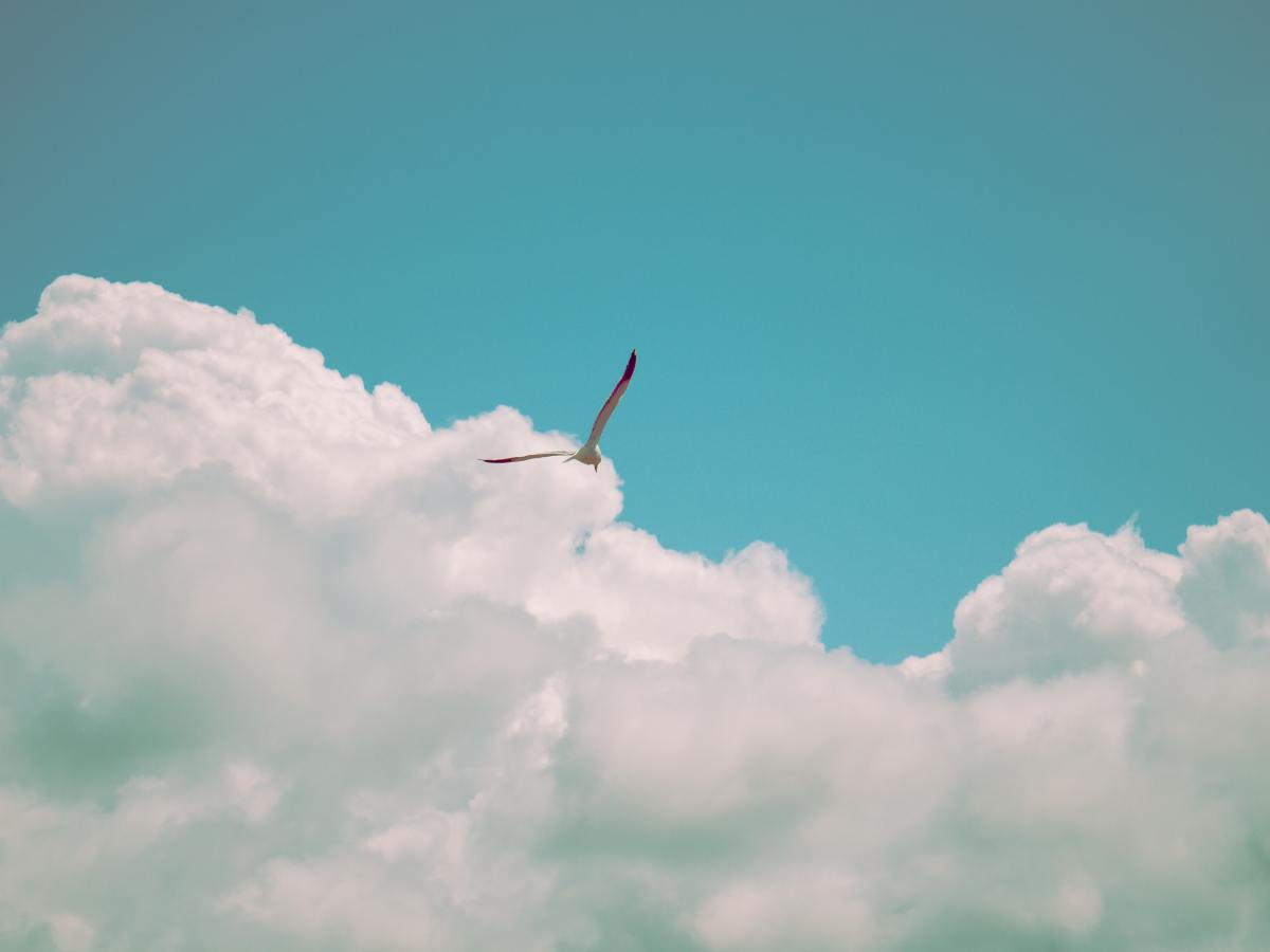 Gabriel and Sisika’s&nbsp;Dream